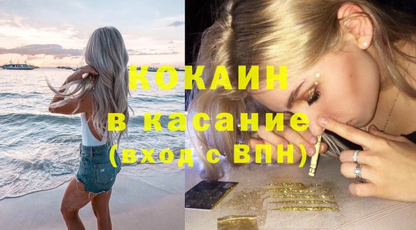 ГАЛЛЮЦИНОГЕННЫЕ ГРИБЫ Вязники