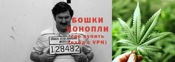 ГАЛЛЮЦИНОГЕННЫЕ ГРИБЫ Вязники
