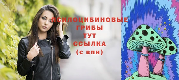 МДПВ Вяземский
