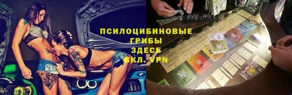 МДПВ Вяземский
